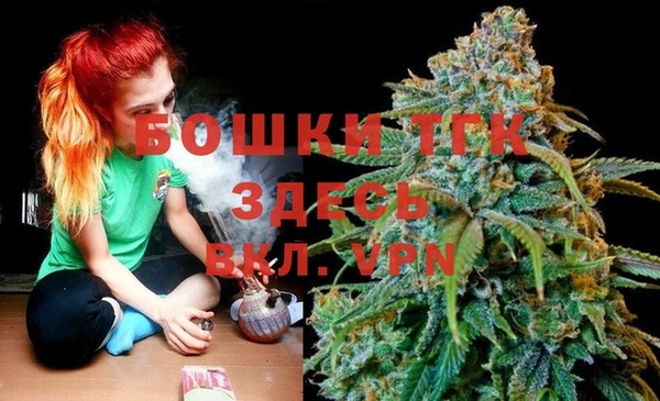 спиды Верея