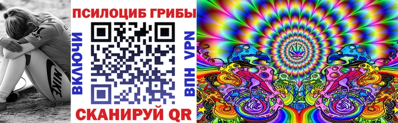 Купить где  Бузулук  Галлюциногенные грибы Magic Shrooms 